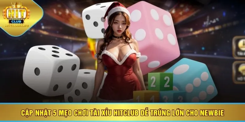 Cập nhật 5 mẹo chơi tài xỉu HITCLUB dễ trúng lớn cho newbie