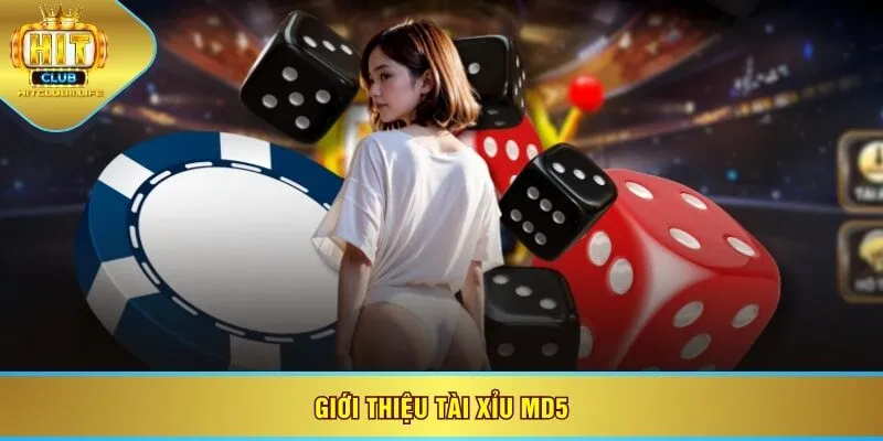Giới thiệu tài xỉu MD5